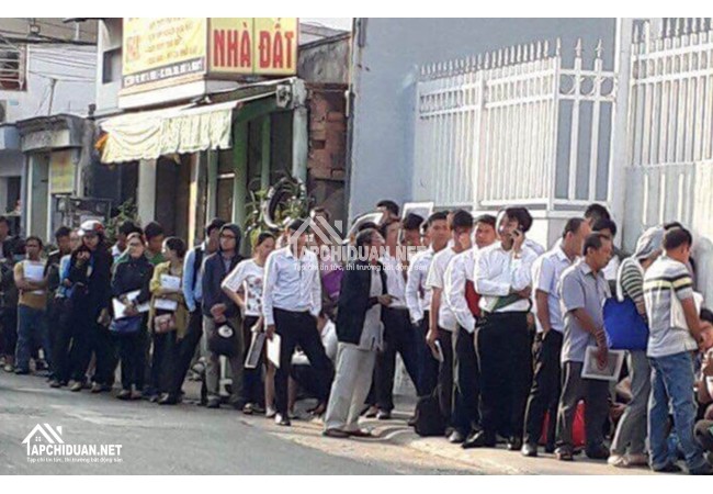 Đất nền sốt nóng, văn phòng tiếp nhận hồ sơ quận 9 thất thủ