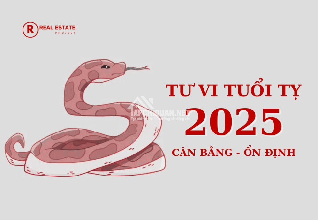 Tử vị tuổi tỵ 2025: Ổn Định, Cân Bằng