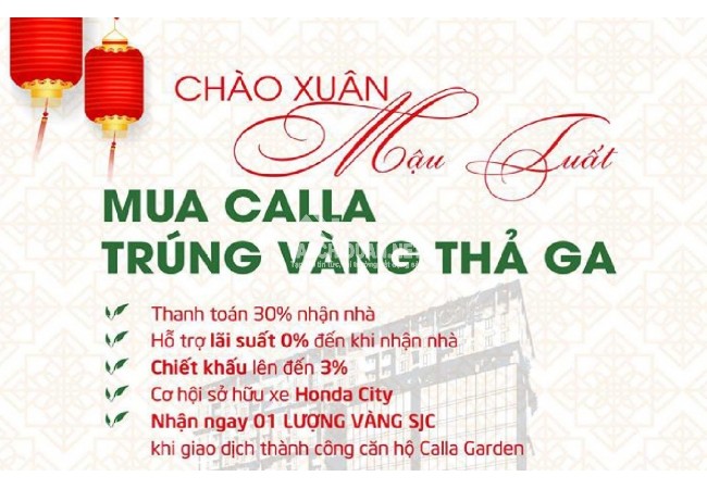 Chào Xuân Mậu Tuất – Mua Calla Nhận Vàng Thả Ga