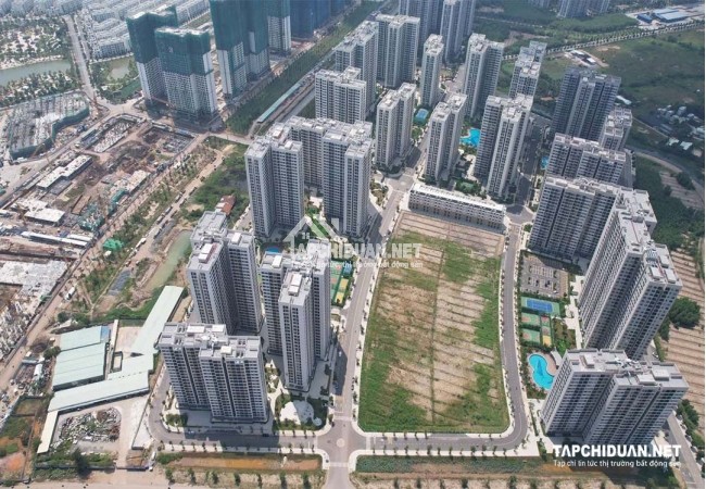 Chủ tịch HoREA: Đến lúc doanh nghiệp bất động sản cầu thị, giảm giá thật