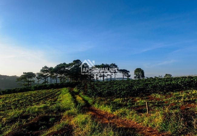 Dòng chảy đầu tư BĐS đổ về Bảo Lộc, đất nền tăng giá bền vững