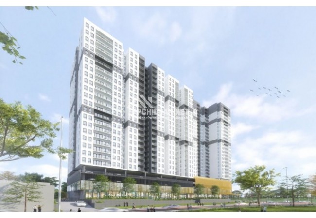 Aurora Residences vị trí vàng ngay trung tâm quận 8