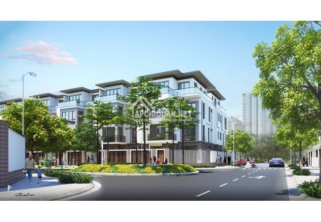 DỰ ÁN ĐẤT NẾN LÂM THÀNH PHÁT