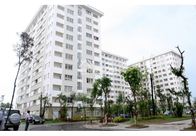 Đầu năm 2019 sẽ giải ngân khoảng 1.000 tỷ đồng cho vay mua NOXH