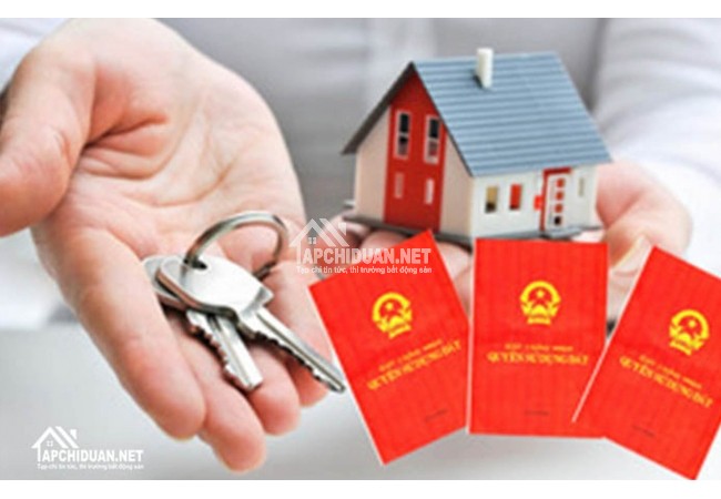 Pháp Lý Yên Tâm Cho Người Mua Căn hộ Ventosa Tân Thành Quận 5