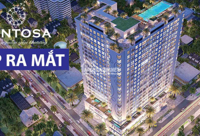 DỰ ÁN VENTOSA TÂN THÀNH QUẬN 5