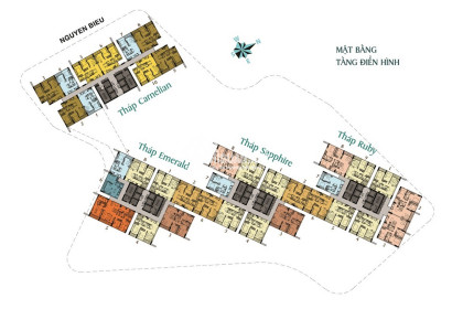 CĂN HỘ DRAGON RIVERSIDE CITY QUẬN 5