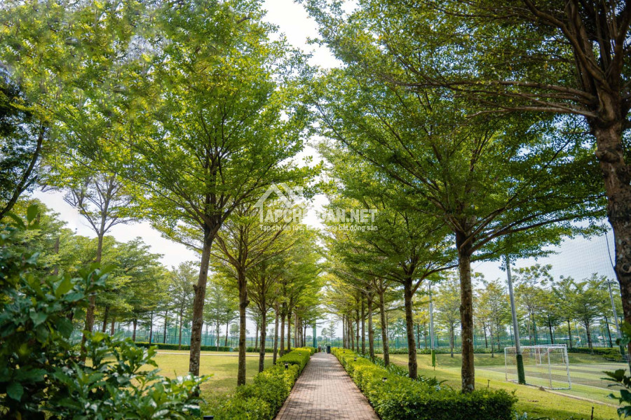 Phiên bản giới hạn 76 căn biệt thự giá từ 10 tỷ - 20 tỷ phong cách Châu Âu tại La Home Long An