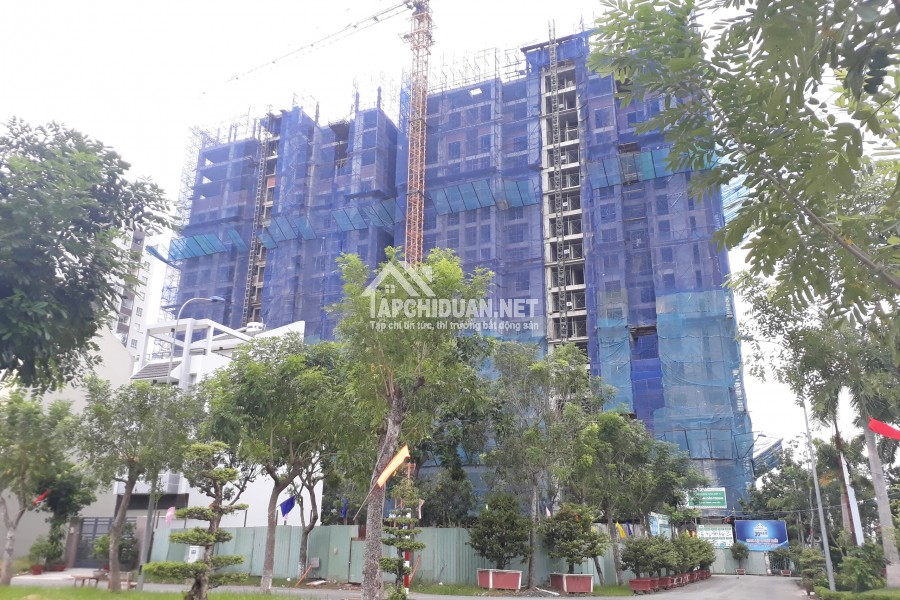 Cho thuê căn hộ calla garden 