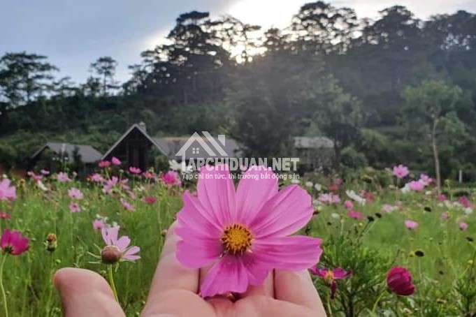 Khu biệt thự nghỉ dưỡng Bảo Lộc Grennwich đất nền nhận giữ chỗ có hoàn lại